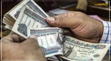 رسميًا بأكثر من 4 مليارات جنيه.. بدء صرف تكافل وكرامة سبتمبر للمستفيدين 1